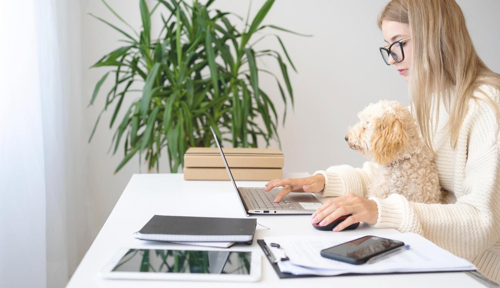 Finanzielle Bildung in der Praxis